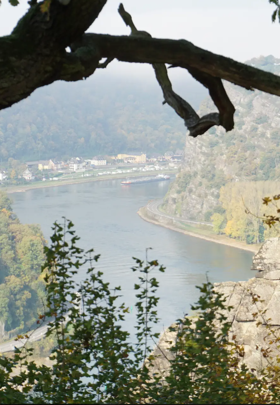 Point de vue sur le Rhin &ndash; spot photo | &copy; Moock