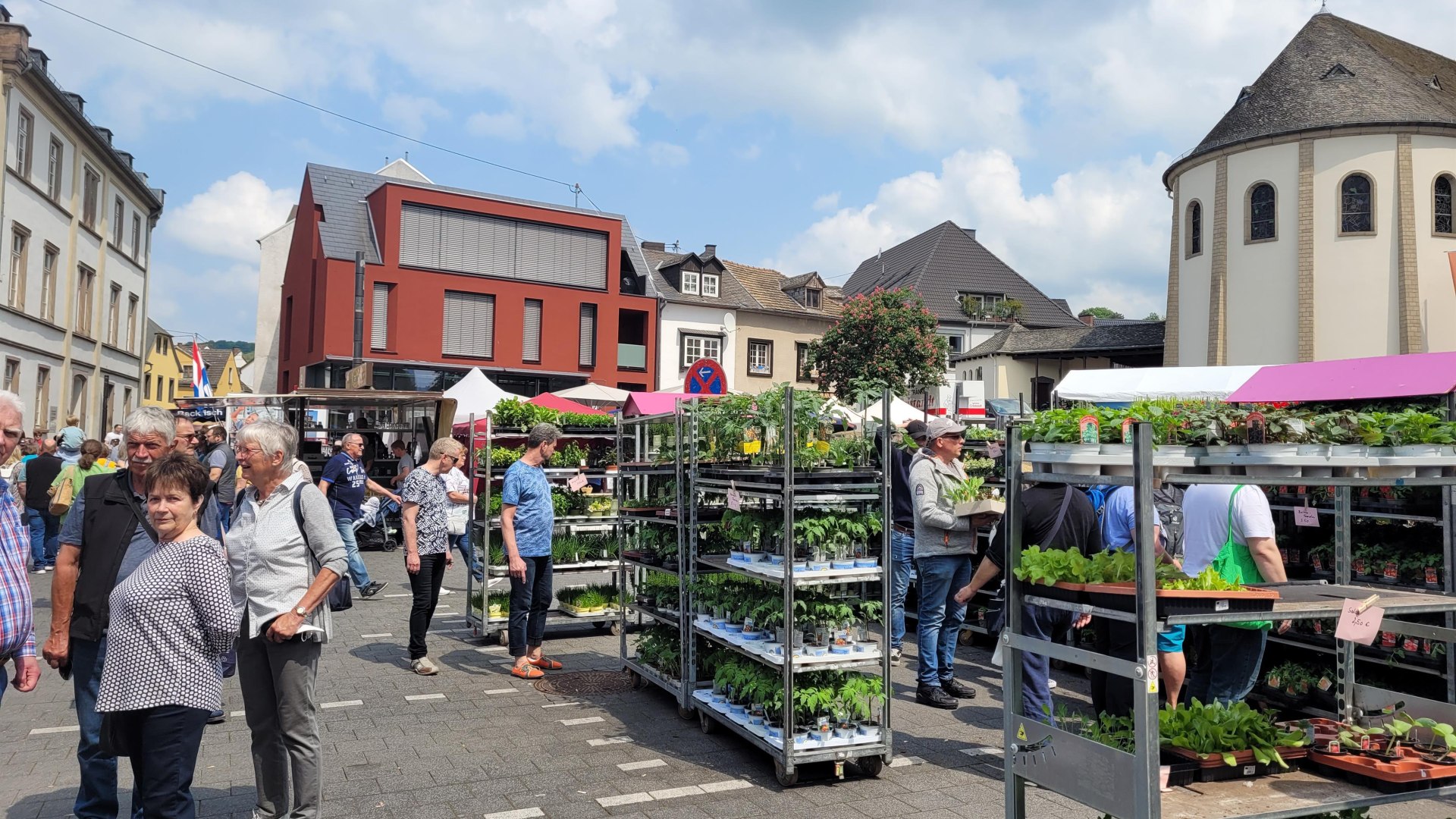 Pflanzen | &copy; Stadtverwaltung Bendorf