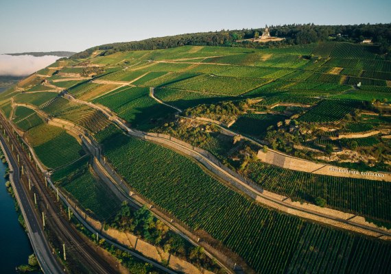 BERG ROTTLAND R&uuml;desheim