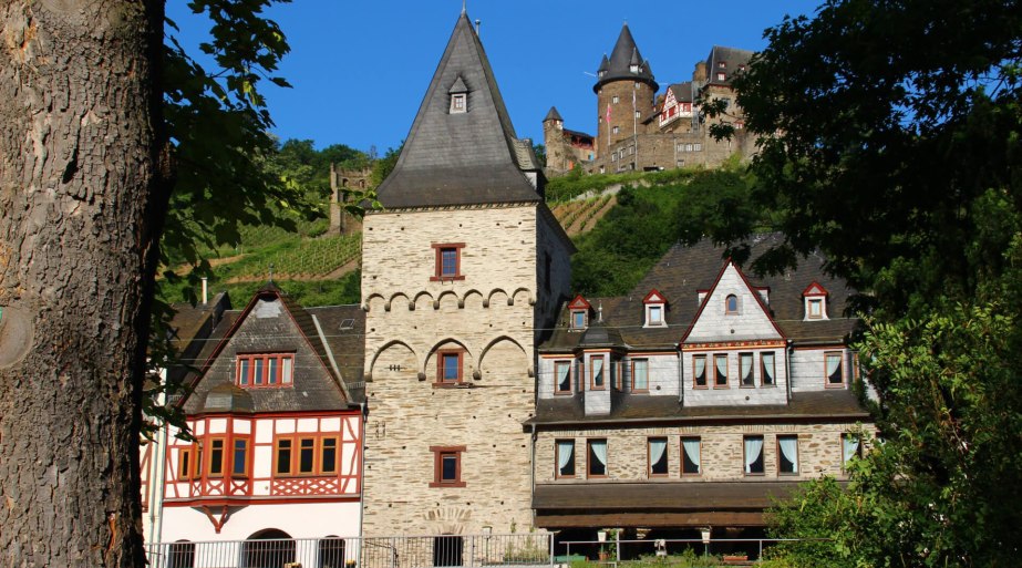 Kranentrum Ansicht vom Rhein | &copy; RNT