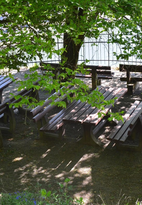 Sauzahn 4 | &copy; Tourist-Information Oberwesel