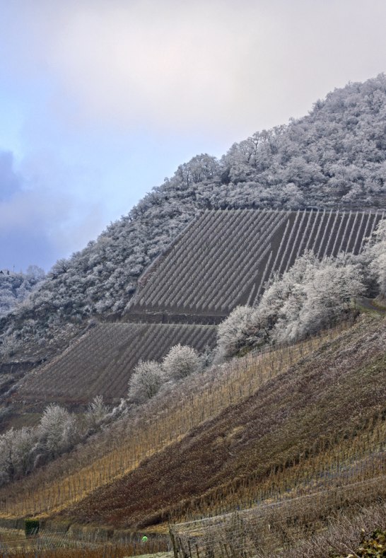 Weinberge bei Leutesdorf | © Friedrich Gier Weinberge bei Leutesdorf | © Friedrich Gier