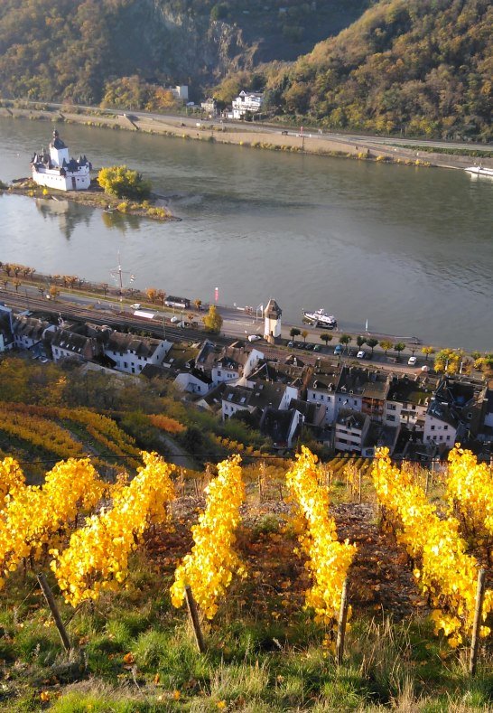 Weinberg | &copy; Peter Bahles