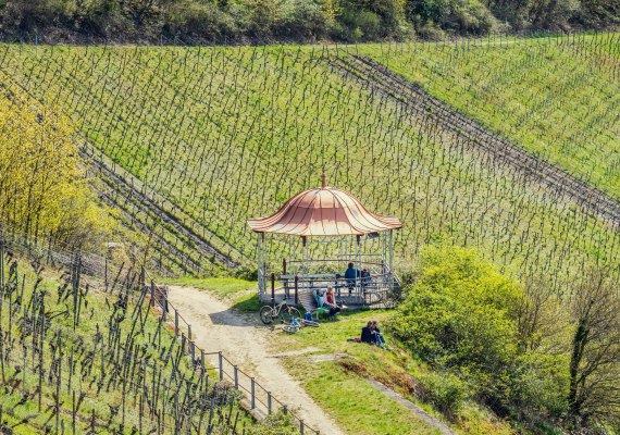 Rast an der Rotweinlaube | &copy; Marlis Steinmetz