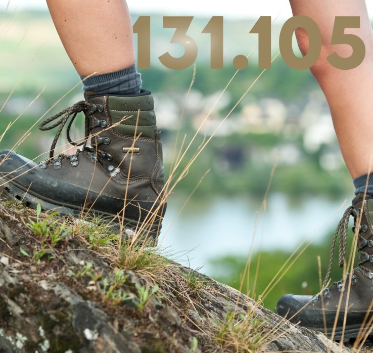 Wanderer auf dem RheinBurgenWeg | &copy; Dominik Ketz