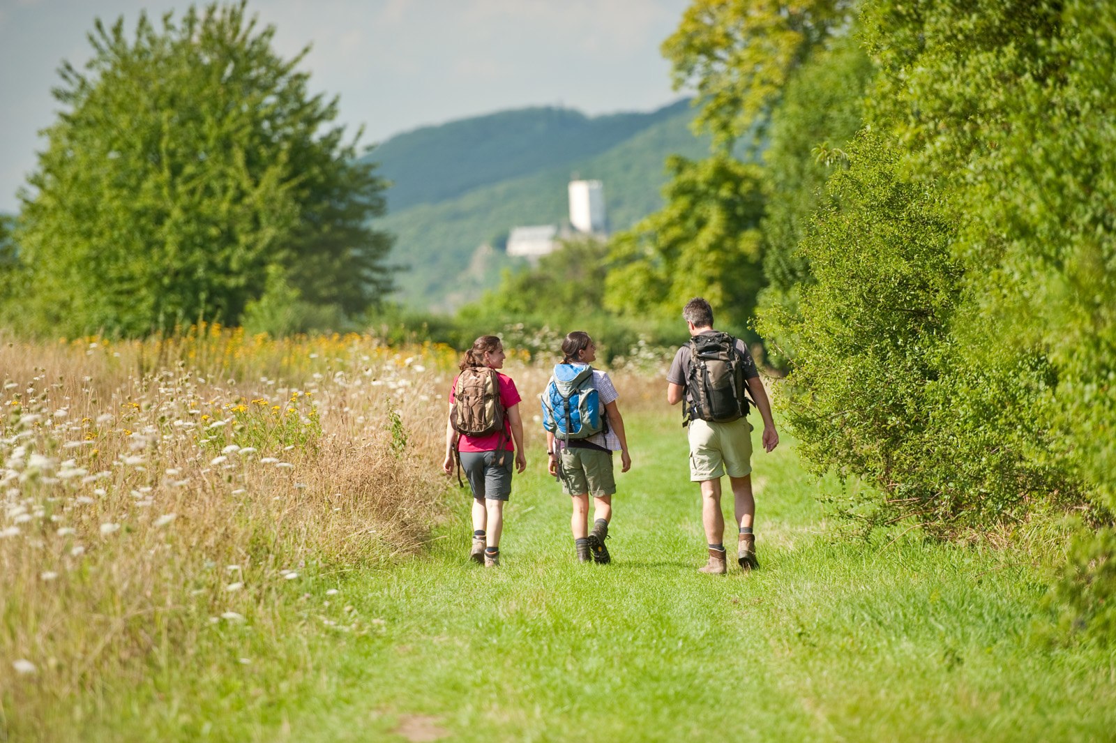 Ziehlay near Boppard-Weiler | © Dominik Ketz