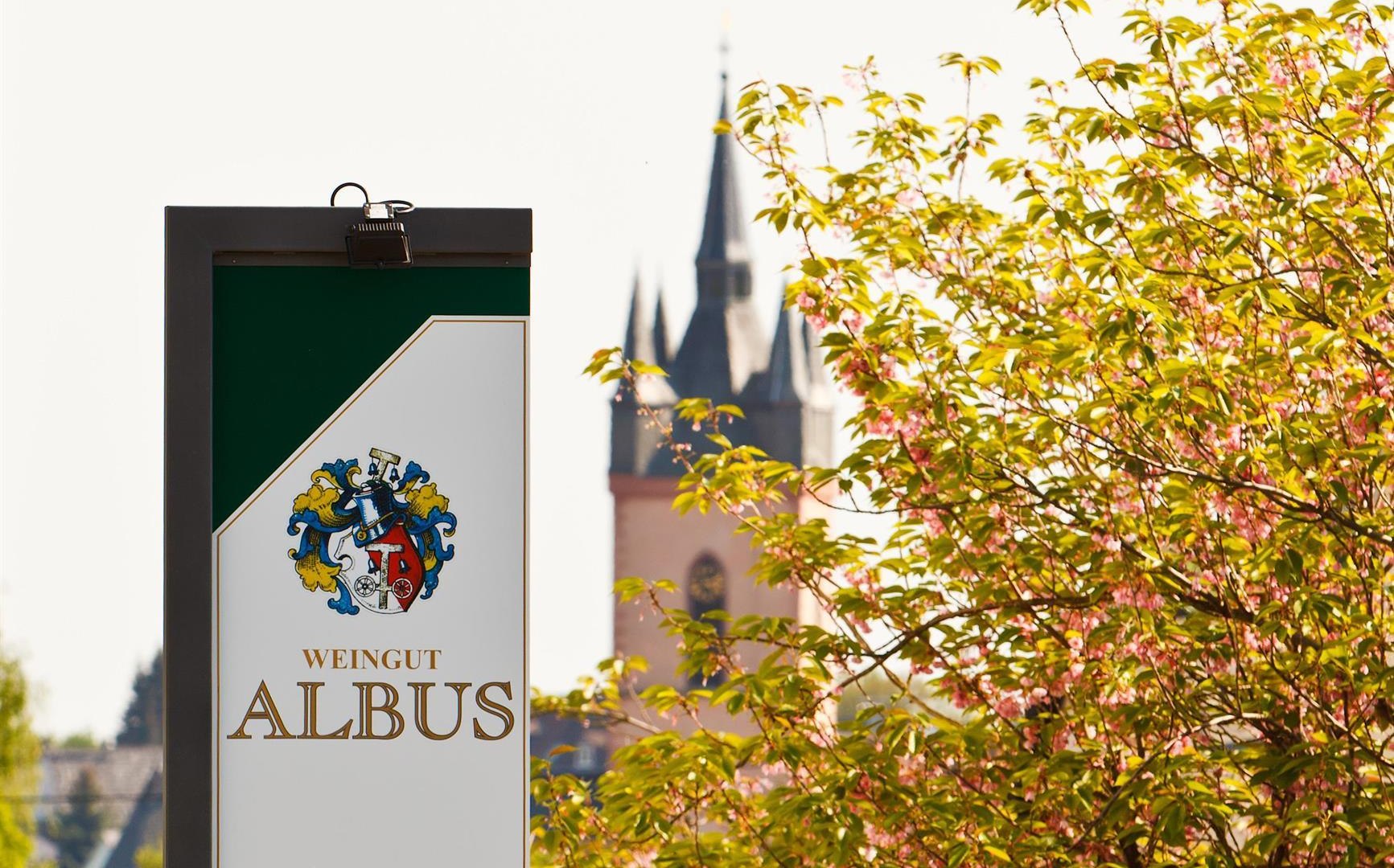 Weingut Albus | © Weingut Albus Weingut Albus | © Weingut Albus