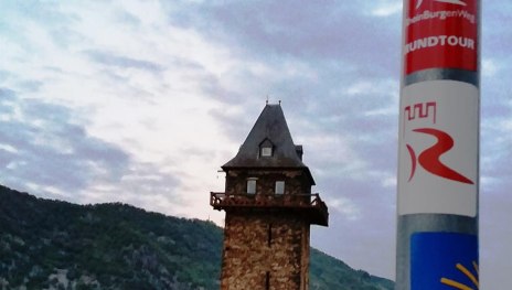 &copy; Daniela Ziermann