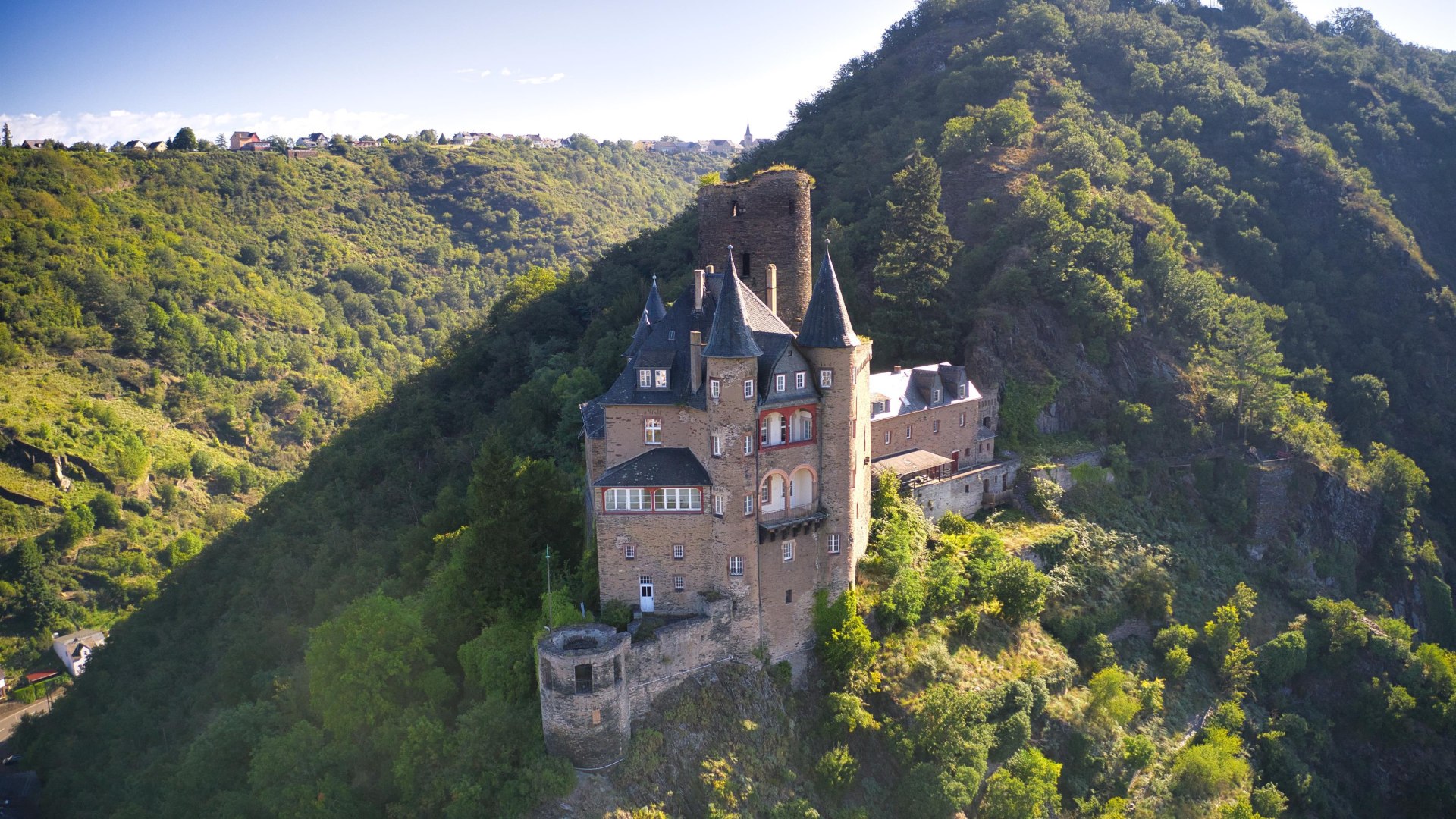 Katz | © Sebastian Reifferscheid Katz | © Sebastian Reifferscheid