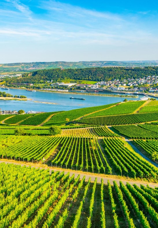 iStock-1140711426 | © trabantos, iStock