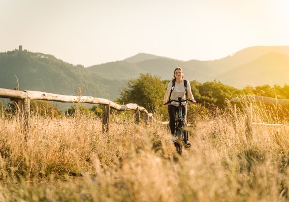 Morgendämmerung Morgendämmerung