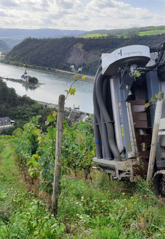 Lese | &copy; Bahles