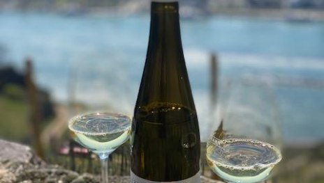 Weingut Friesenhahn | &copy; Weingut Friesenhahn