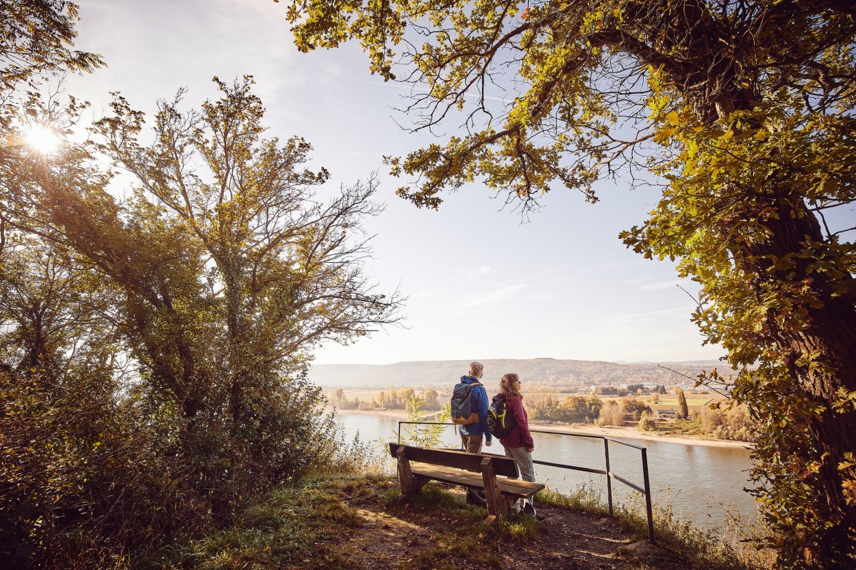 Herbststimmung am Romantischen Rhein | © Marco Rothbrust Herbststimmung am Romantischen Rhein | © Marco Rothbrust