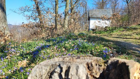 Kapelle | &copy; Ulrike Dallmann