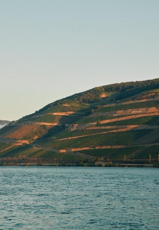 BERG SCHLOSSBERG R&uuml;desheim