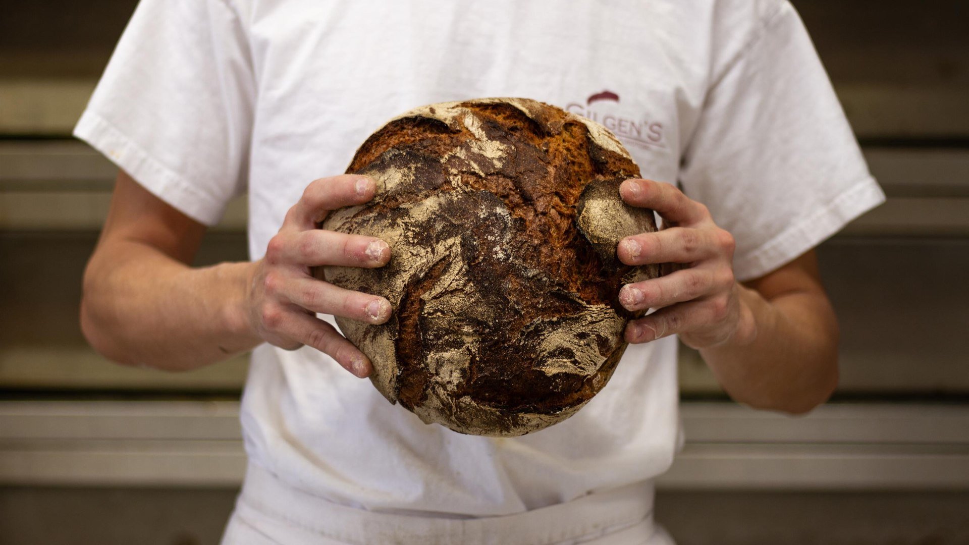 Gilgen | &copy; Jana lennackers, Gilgen