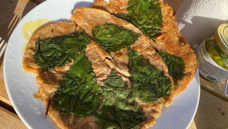 &copy; Angelika H&ouml;lz