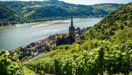 Blick auf Lorch | © Henry Tornow Blick auf Lorch | © Henry Tornow