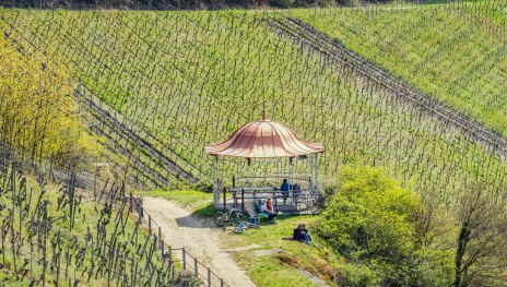 Rast an der Rotweinlaube | &copy; Marlis Steinmetz