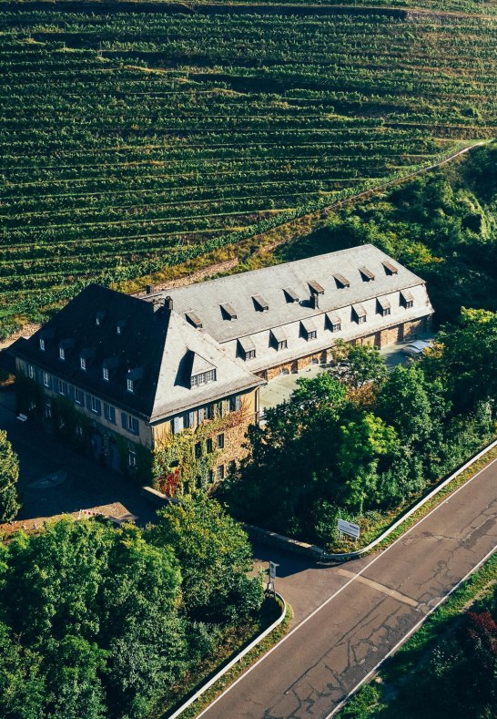 Dom&auml;ne Assmannshausen