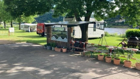 Stellplatz am Rheinufer | © Campingplatz Loreleystadt Stellplatz am Rheinufer | © Campingplatz Loreleystadt