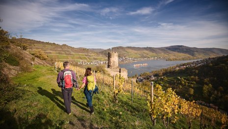 Ruine F&uuml;rstenberg | &copy; Marco Rothbrust, Mittelrhein