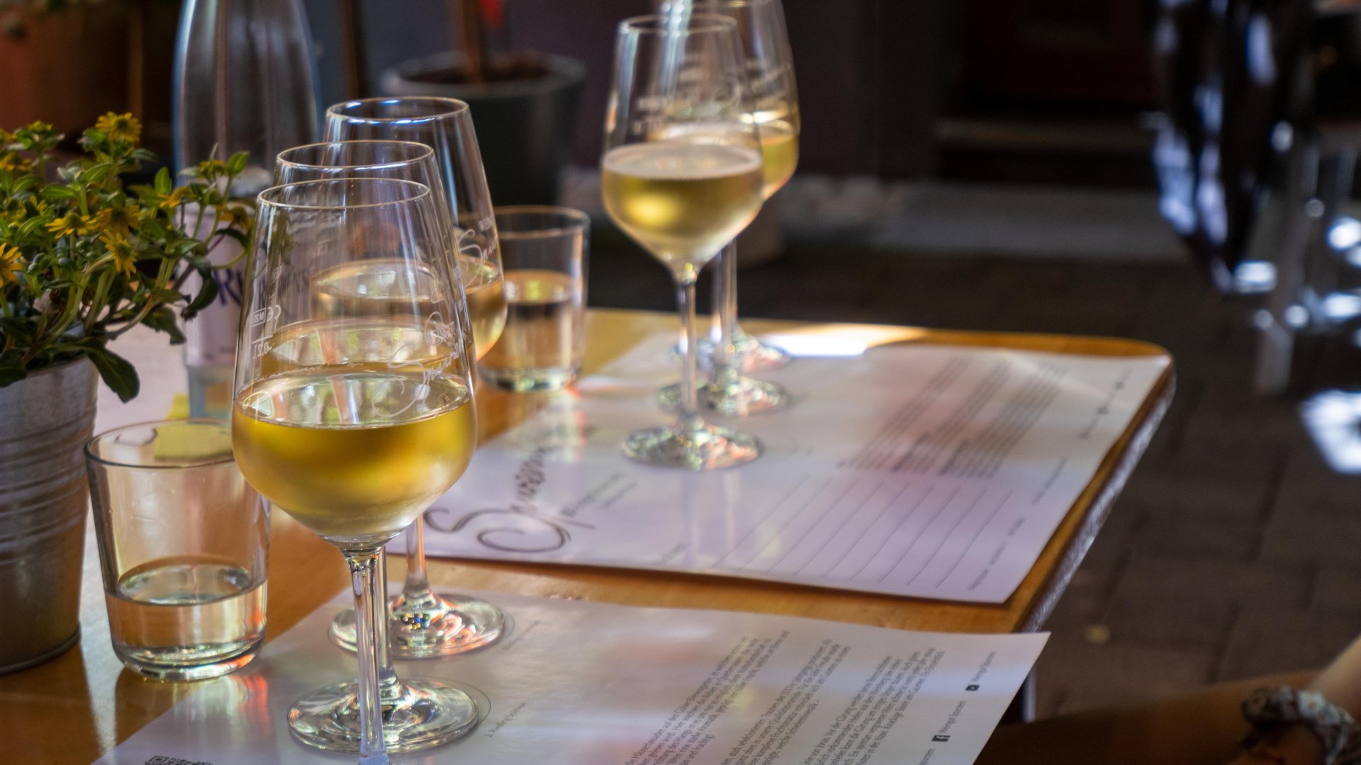 Weinprobe | &copy; Weingut Spurzem