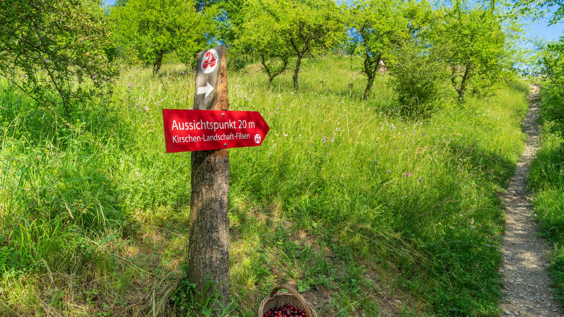 © Zweckverband Welterbe Oberes Mittelrheintal © Zweckverband Welterbe Oberes Mittelrheintal