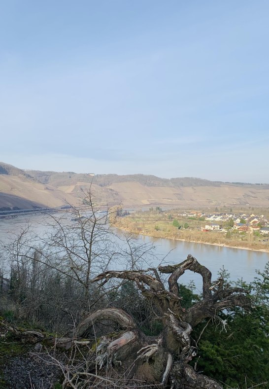 Aussicht | &copy; Tourist Information