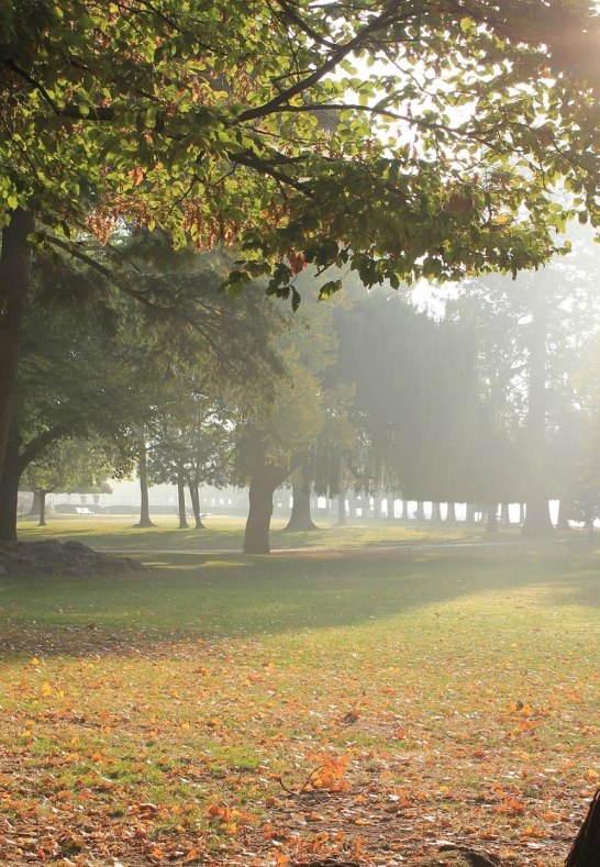 Hafenpark | © Rüdesheim Tourist AG - Gaby Schäfer Hafenpark | © Rüdesheim Tourist AG - Gaby Schäfer