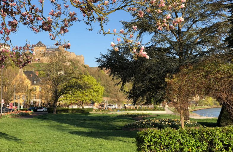 Rheinanlagen in St. Goar | © rheingucken.de Rheinanlagen in St. Goar | © rheingucken.de