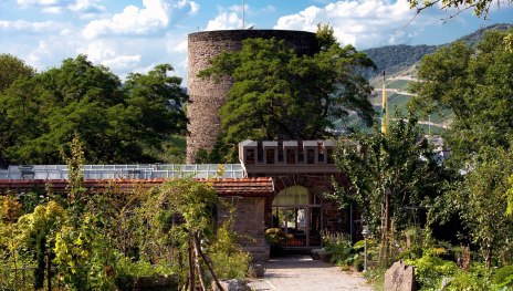 Burggärtnerei | © Nicole Meisinger Burggärtnerei | © Nicole Meisinger