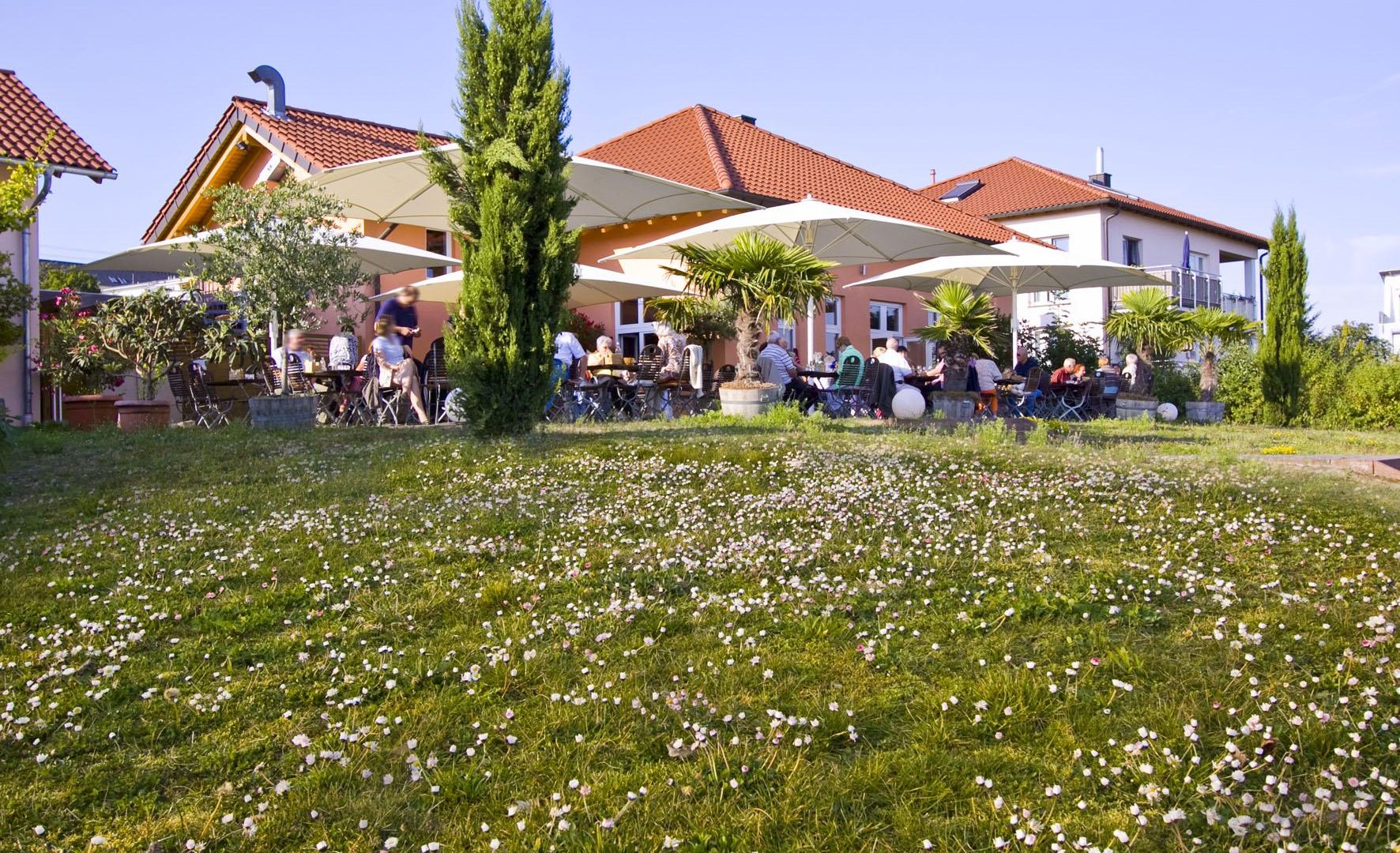 Weinlounge H&ouml;hn | &copy; Weingut H&ouml;hn