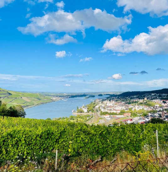 Ausblick | &copy; Greber