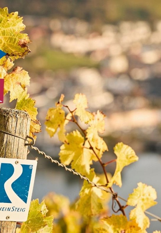 Rheinsteig Jubiläum | © Hotel Im Schulhaus Rheinsteig Jubiläum | © Hotel Im Schulhaus