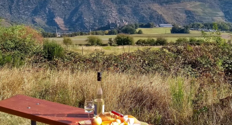 Picknickbank auf der Bitz mit Taunusblick | &copy; E. Bender