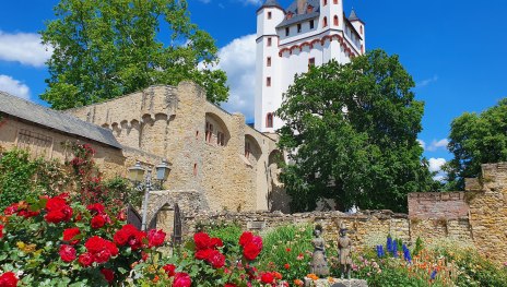Kurfürstliche Burg | © Stadt Eltville am Rhein Kurfürstliche Burg | © Stadt Eltville am Rhein