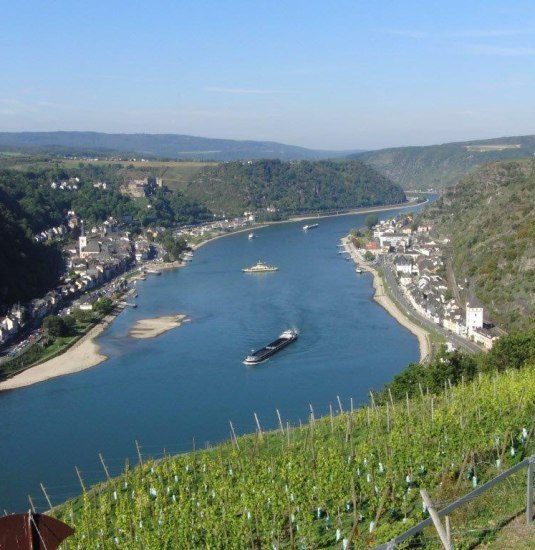 Weinterrassen-Wanderung_01 | © Friedel Becker Weinterrassen-Wanderung_01 | © Friedel Becker