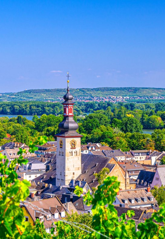 R&uuml;desheim am Rhein | &copy; iStock