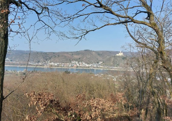 Ausblick Herbst | &copy; Tourist-Information Erlebnis Rheinbogen