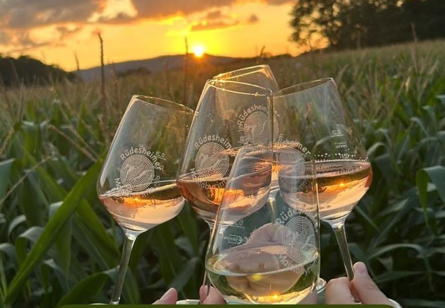 Wine Walk | © M. Heckel Wine Walk | © M. Heckel
