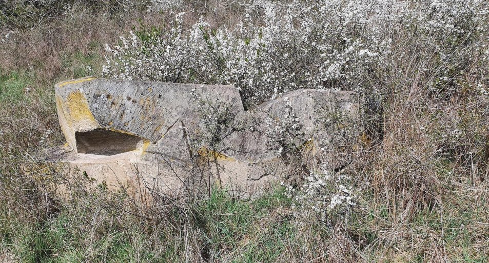 Liegende | © T. Biersch Liegende | © T. Biersch