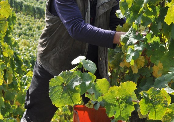 DSC_0378 | &copy; Lorenz