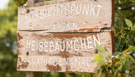 Lahn-Taunus-2019-660-Heisebäumchen, Dachsenhausen | © Foto: Dominik Ketz / Lahn-Taunus-Touristik e.V., Foto: Dominik Ketz / Lahn-Taunus-Touristik e.V. Lahn-Taunus-2019-660-Heisebäumchen, Dachsenhausen | © Foto: Dominik Ketz / Lahn-Taunus-Touristik e.V., Foto: Dominik Ketz / Lahn-Taunus-Touristik e.V.