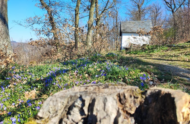 Kapelle | © Ulrike Dallmann