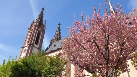 Rheingauer Dom Geisenheim | © Hochschulstadt Geisenheim Rheingauer Dom Geisenheim | © Hochschulstadt Geisenheim