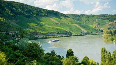 Bopparder Hamm | © Dominik Ketz, Romantischer Rhein Tourismus GmbH