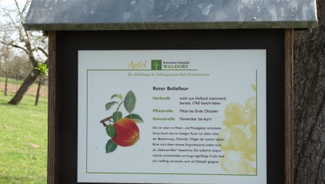 Streuobst-Lehrpfad Waldorf (Vinxtbachtal) | &copy; Frank Srol, Romantischer Rhein Tourismus GmbH