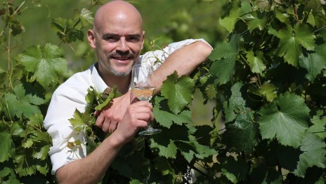 Weingut Nies | &copy; Weingut Nies